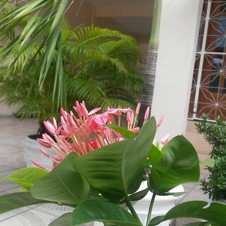 Each Hostel Da Amazonia Manaus Eksteriør bilde